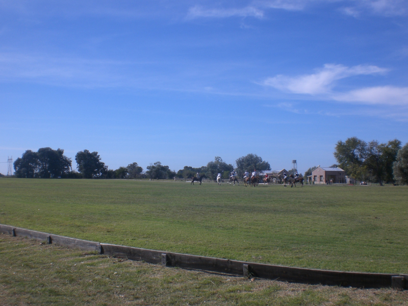 Diseño sin título (1)